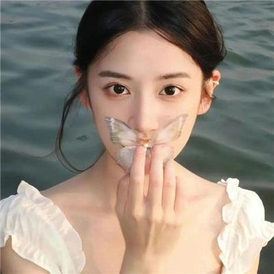 驸马大人请指教