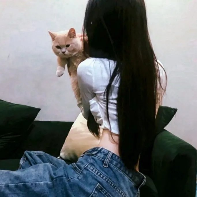 甄嬛传