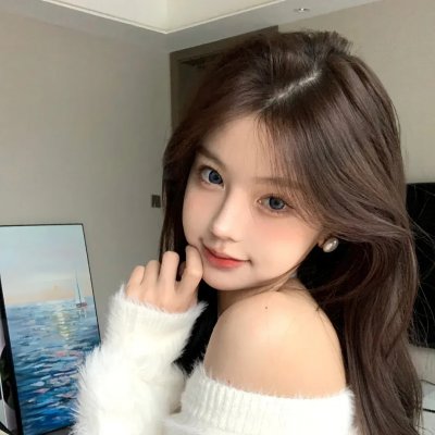少数意见